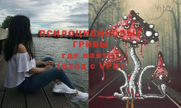 твердый Арсеньев