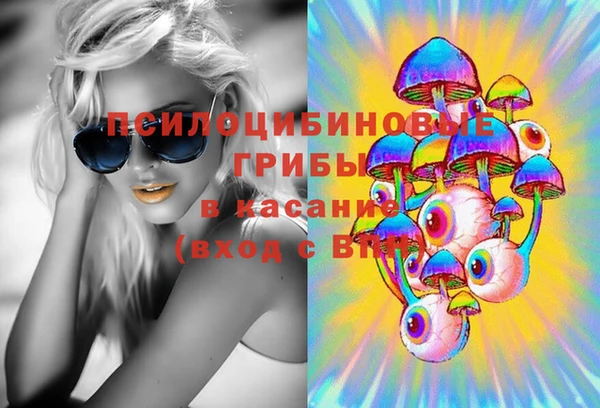 PSILOCYBIN Алексеевка