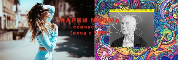 хмурый Гусь-Хрустальный
