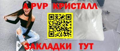 дмт Аргун