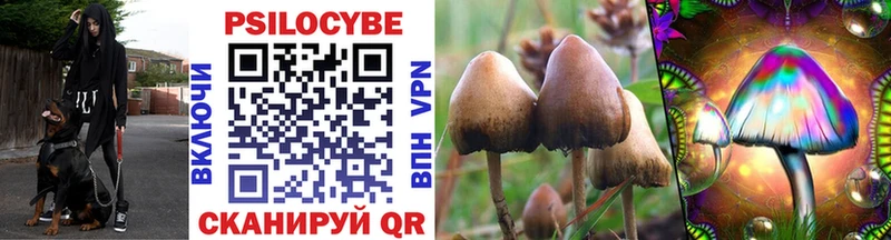 наркошоп  Беслан  Галлюциногенные грибы Cubensis 