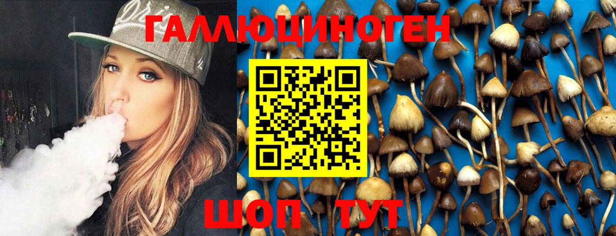 Галлюциногенные грибы Psilocybe  Вход с VPN  Беслан 