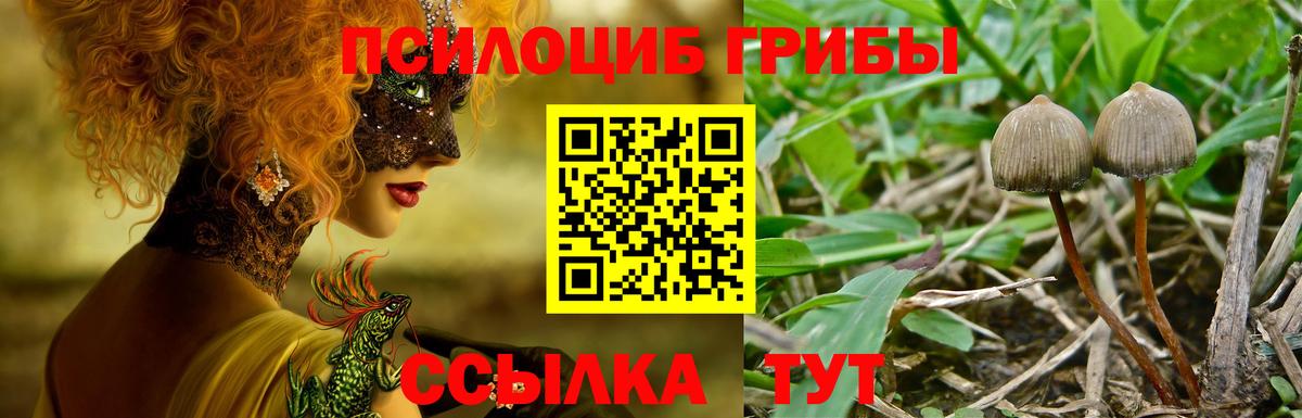 Псилоцибиновые грибы Magic Shrooms  Вход с VPN  Псилоцибиновые грибы Psilocybe  Беслан 