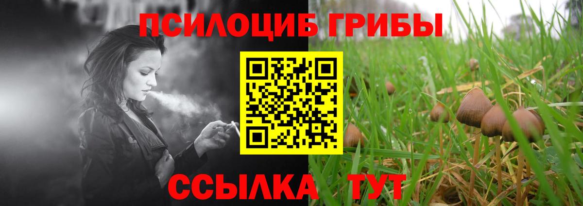 Галлюциногенные грибы Magic Shrooms Беслан